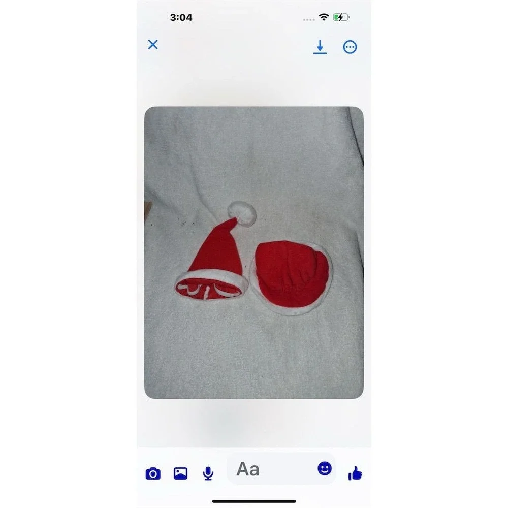 Doggie Design Festive Mrs. Claus Pet Costume with Hat Red‎ Christmas